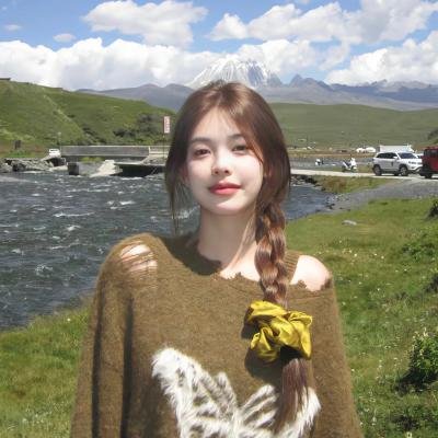 早安总统